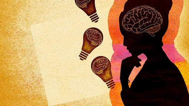 brain